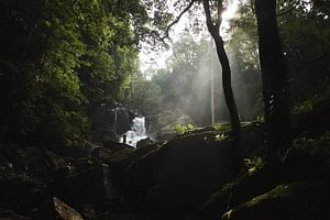 Rainforest Explorer from Bentota (2 Days)