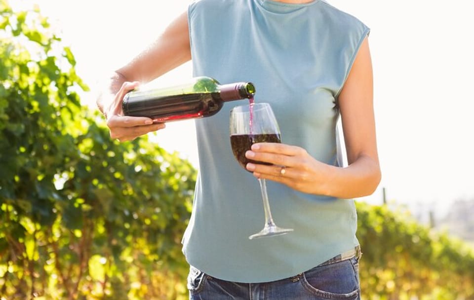 Troodos Vino Venture: Wine Tasting and Village Tour from Larnaca