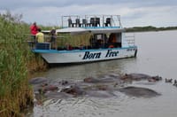 ST Lucia ISimangaliso Boat Safari and Dumazulu Cultural Village Tour  3