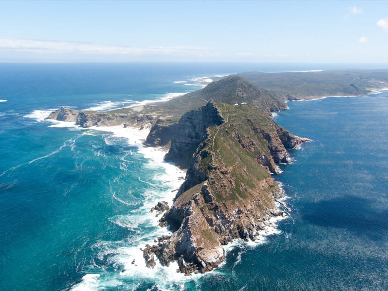 Cape peninsula tour and Bourdess beach penguin