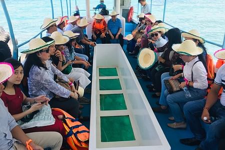 Glass-Bottom Boat Trip and Snorkeling Tour in Nha Trang Bay