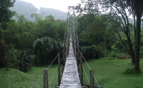 Three-Day Nature Adventure Tour from Kandy, Sri Lanka