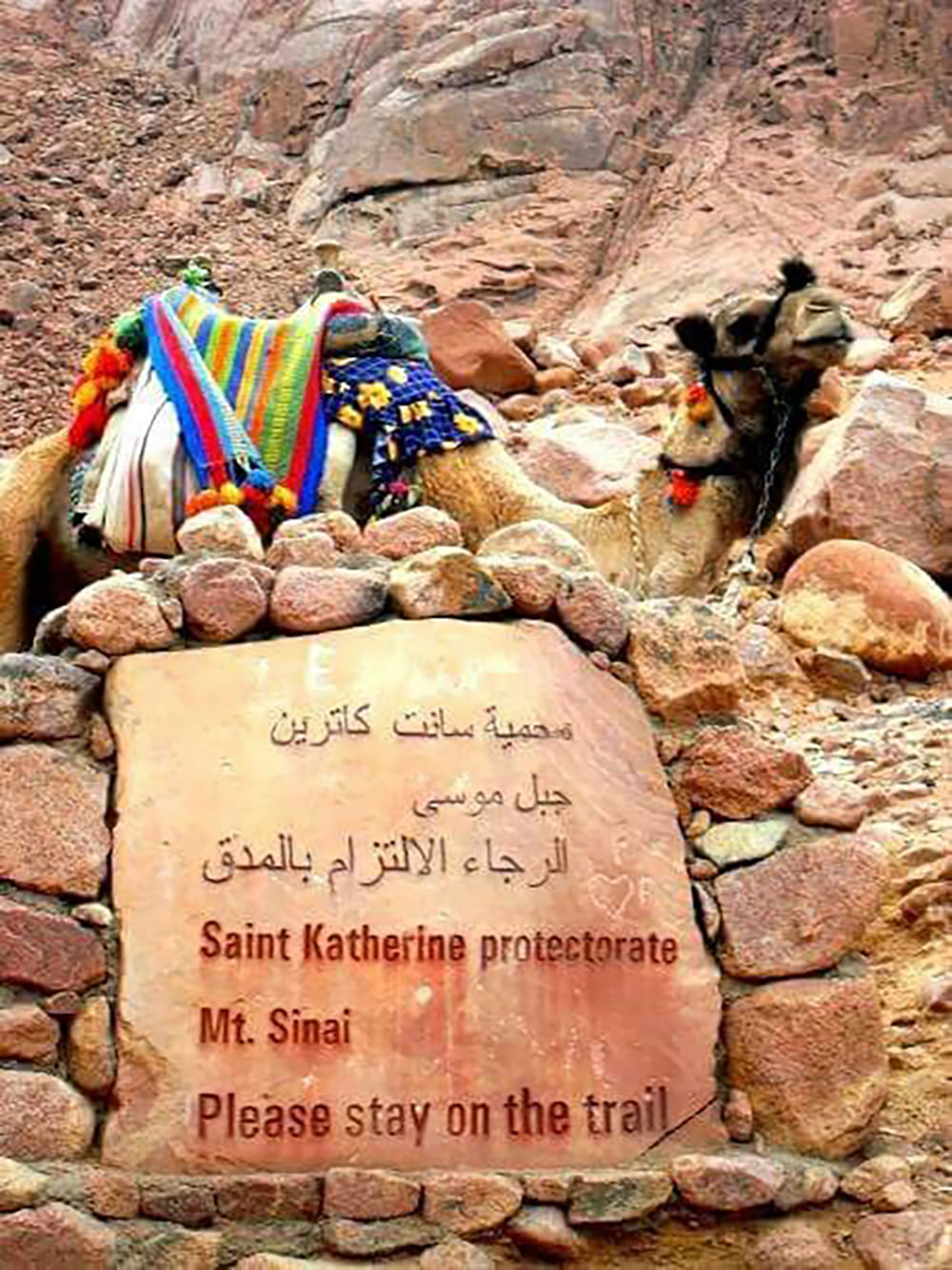 St. Catharinakloostertour vanuit Sharm-el-Sheikh