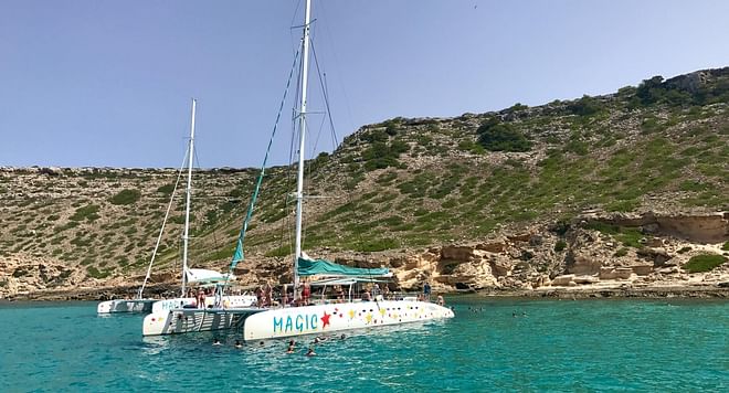 Palma Bay Catamaran Tour (departures from Illetas and Cala Viñas)