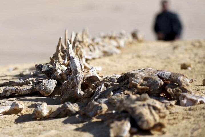 Cairo Multi Days Tour