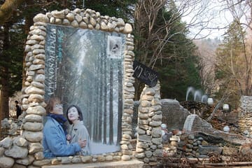 Private Day Tour to Nami Island and Seoul Attractions