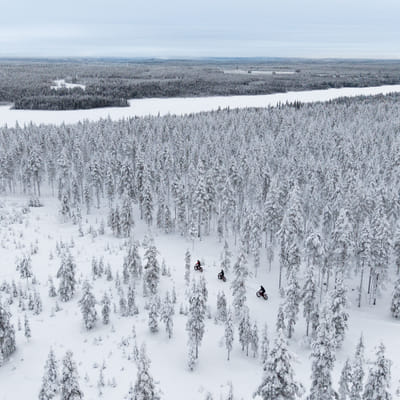 Electric Fat Biking at a Reindeer Farm in Rovaniemi - Image 8