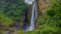 Waterfall Trail 8