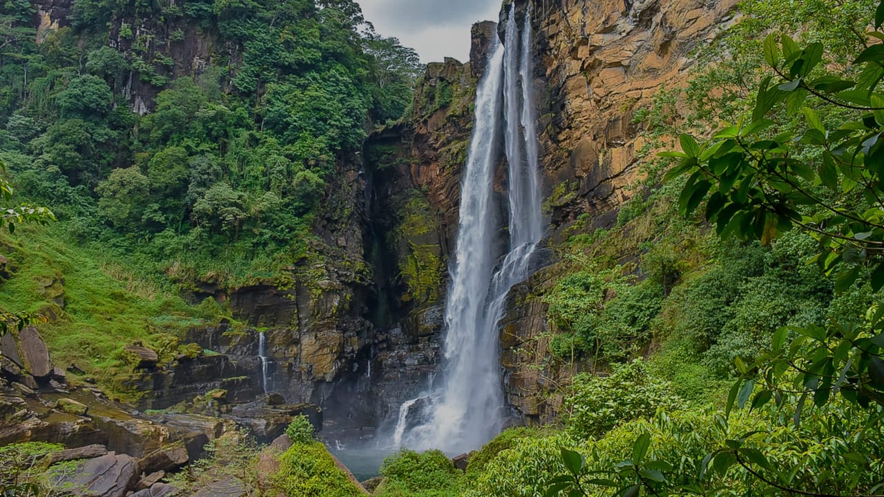 Waterfall Trail 8