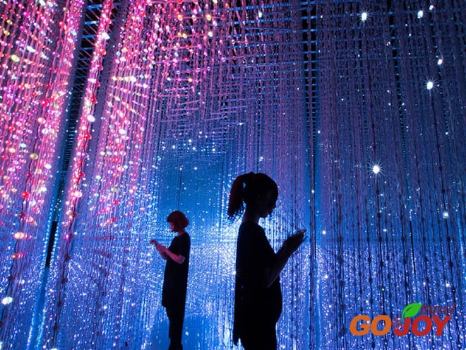 Japan Tour | Discover Japan with your family