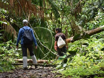 Sinharaja Rainforest Exploration Tour from Galle