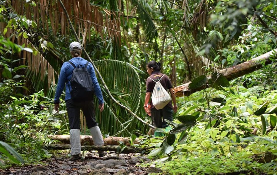 Sinharaja Rain Forest Tour from Galle