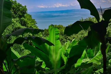 Private Sightseeing Tour from Batumi to Mtirala and Botanical garden