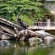 Best Hanoi Motorbike Tour: Local Guide, City Center & Countryside