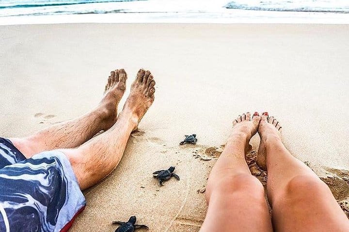 Glamour Of Sri Lanka | 7 Days