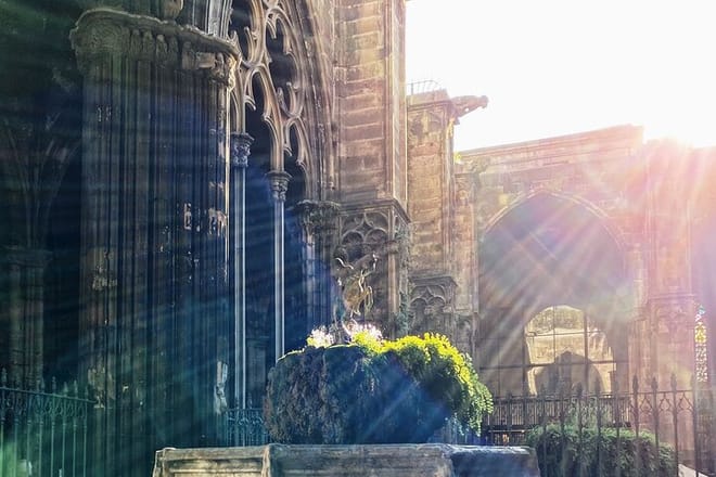 Gothic Quarter & Picasso Museum Private Tour