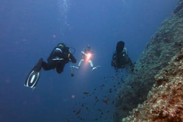 Scuba Diving Experience for Certified Divers in Athens