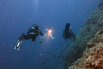Athens Scuba Diving Experience for Certified Divers with pick up