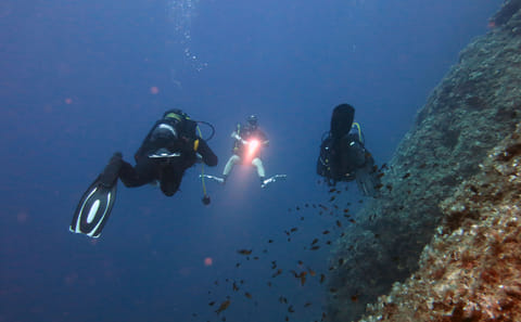 Scuba Diving Experience for Certified Divers in Athens