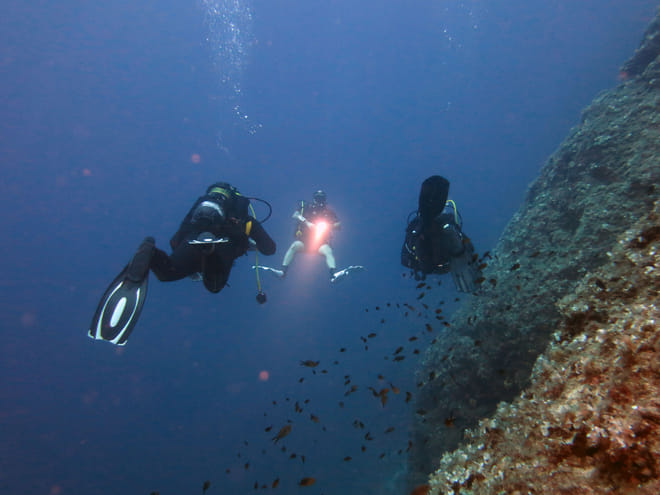 Athens Scuba Diving Experience for Certified Divers with pick up photo 5