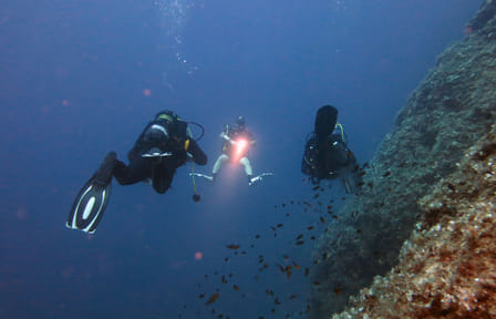 Scuba Diving Experience for Certified Divers in Athens