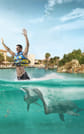 Riviera Maya Puerto Aventuras - Dolphin Royal Connection 1