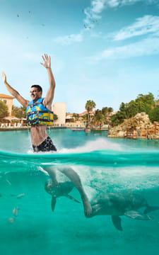 Riviera Maya Puerto Aventuras - Dolphin Royal Connection