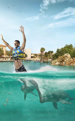 Riviera Maya Puerto Aventuras - Dolphin Royal Connection
