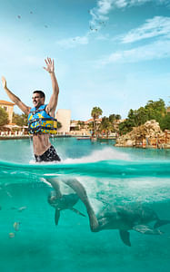 Dolphin Royal Swim Plus in Riviera Maya