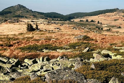 Hiking Tour of Vitosha Mountains and Cherni Vryh from Sofia