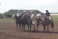 Full day Fiesta Gaucha (from BUENOS AIRES) 3