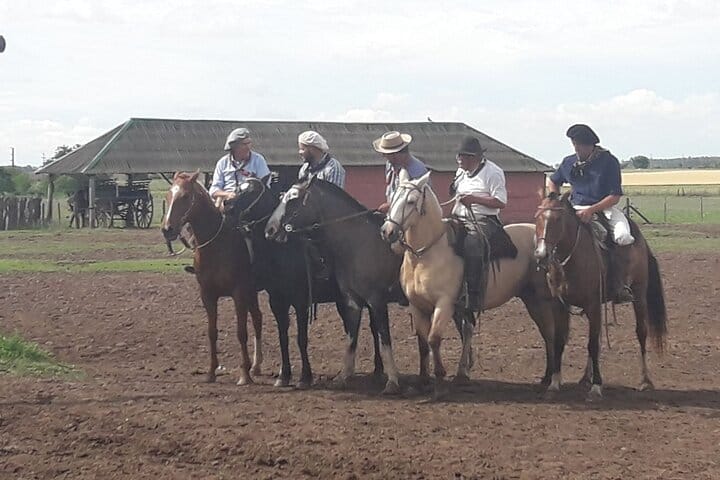Full day Fiesta Gaucha (from BUENOS AIRES) 3