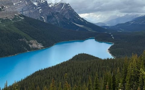Lake Louise and Moraine Lake Day Tour from Banff