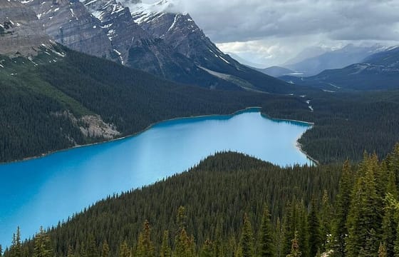 Lake Louise, Moraine Lake, Peyto Lake, Crowfoot Tour from Banff