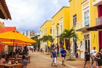Downtown Cozumel and Brewery Experience 5