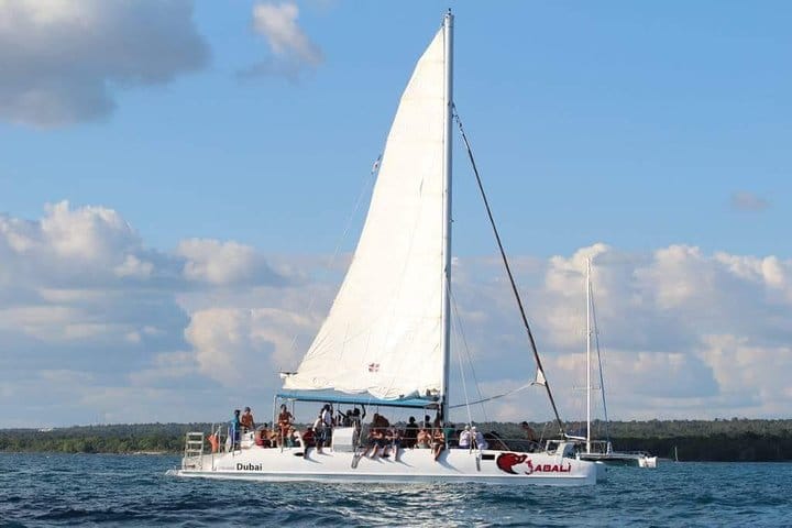 5 tours in 1 (Eco Farm/Horseback/City Tour/Buggy/Zipline)