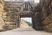 Lions Gate OliveSea