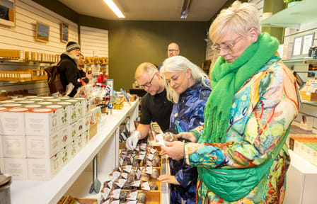 Private Christmas Walking Tour in Reykjavík, Iceland