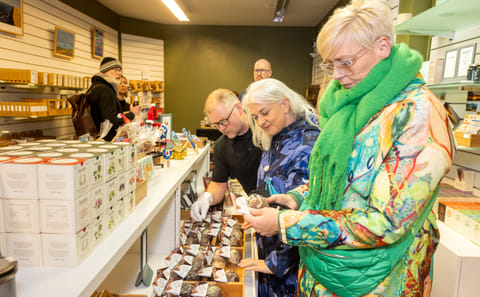 Private Christmas Walking Tour in Reykjavík, Iceland