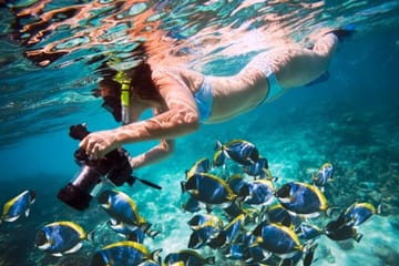 Snorkeling Adventure at Sharm El Naga Bay from Hurghada