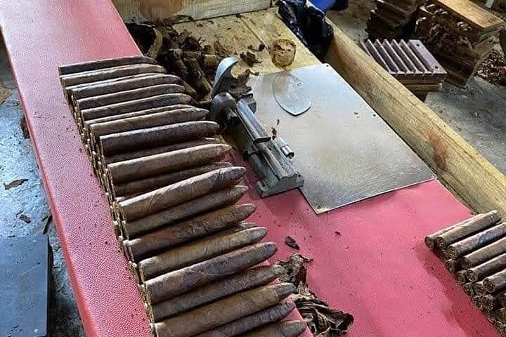 Buggy & ATV adventures-# 1 in puntacana (macao )