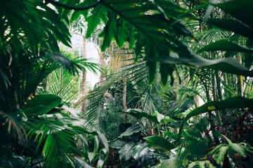 4-Day Amazon Jungle and Pampas Tour in Rurrenabaque