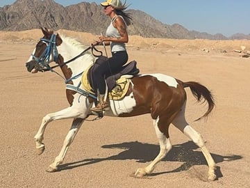 Horseback Riding Adventure in Nabq Bay, Sharm El-Sheikh