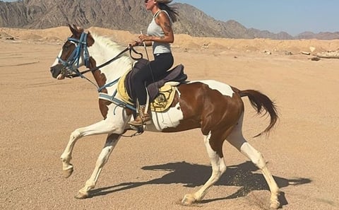 Horseback Riding Adventure in Nabq Bay, Sharm El-Sheikh