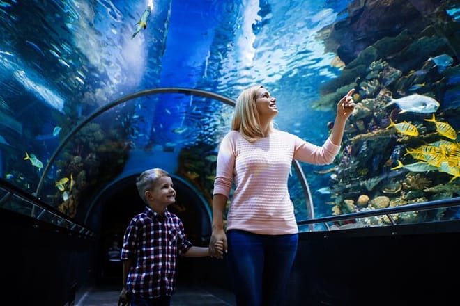 Antalya Half-Day Private City Tour with Aquarium Visit photo 2