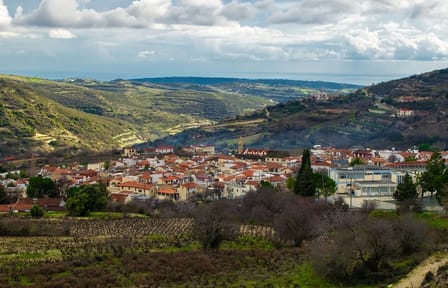 Troodos Village Food and Wine Tour from Ayia Napa