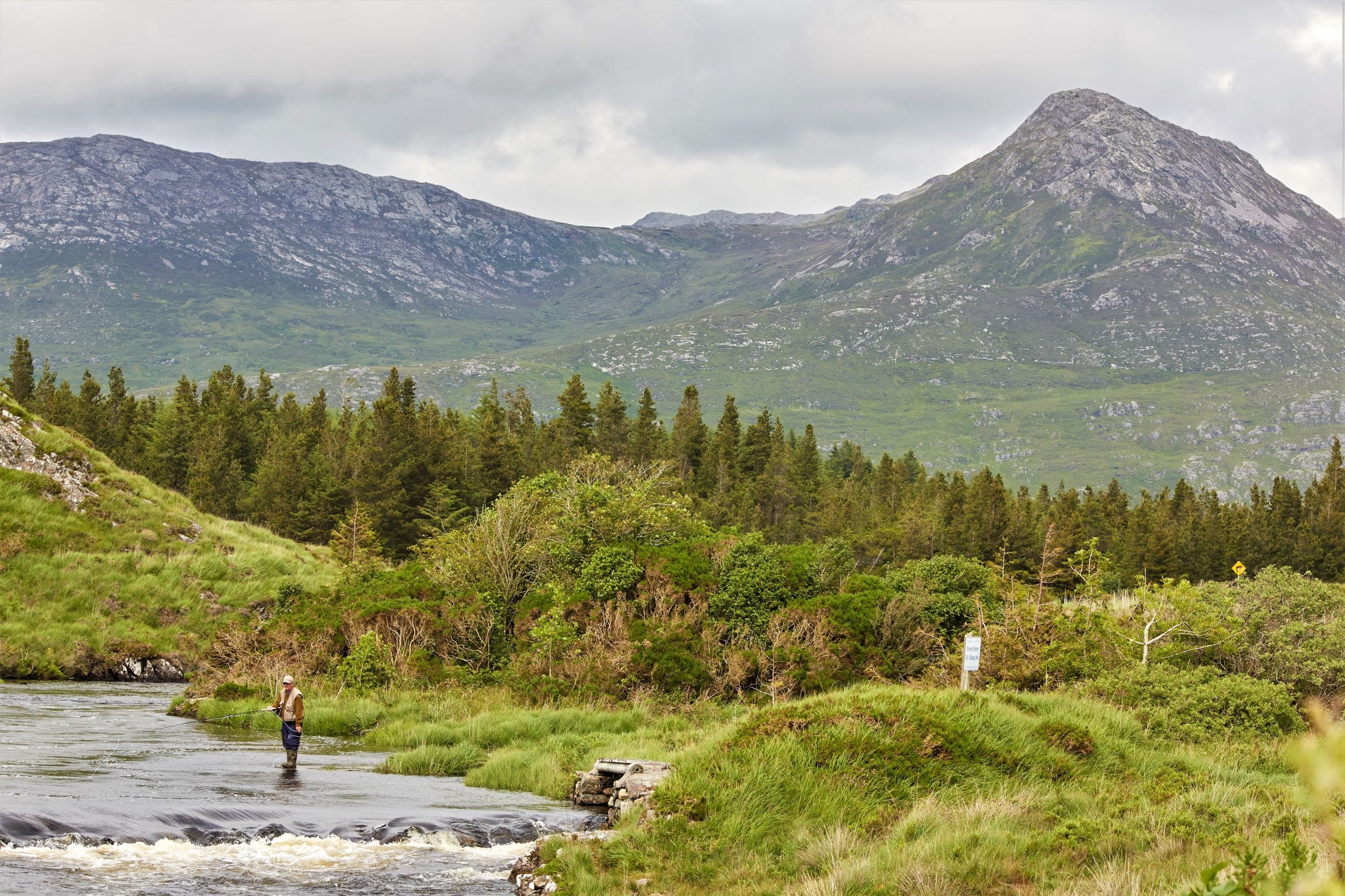 Wild brown trout river fishing on Connemara fishery. Galway. Private guided. French/Eng,