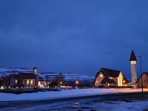 Borgarfjordur - Private Tour (1–6 passengers), photo 2