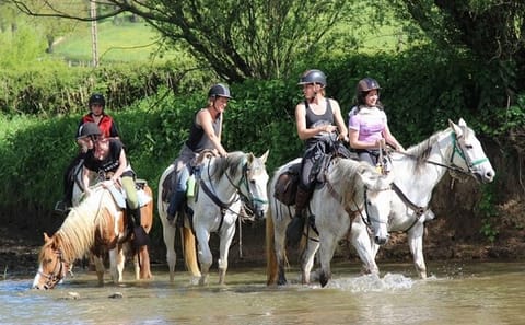Horseback Riding Adventure in the Taurus Mountains from Alanya