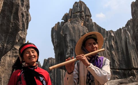 Stone Forest and Jiuxiang Cave Day Tour in Yunnan